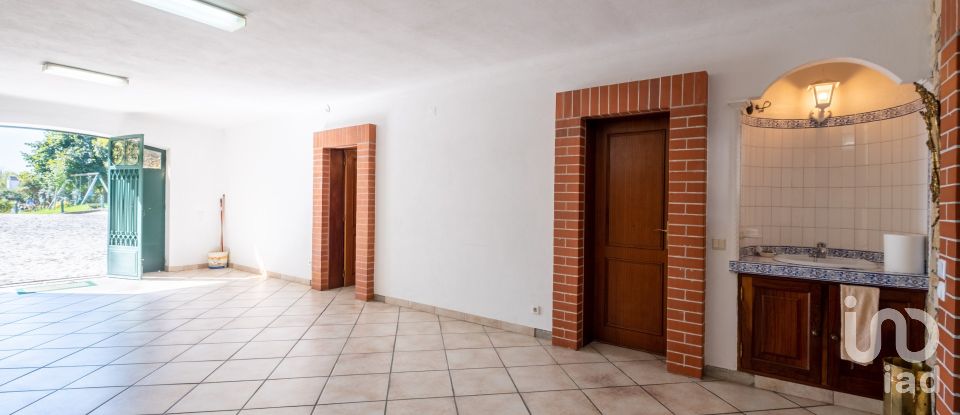 Quinta T8 em Torres Novas (São Pedro), Lapas e Ribeira Branca de 840 m²