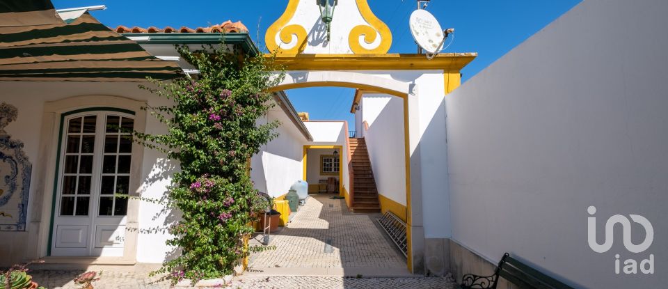 Quinta T8 em Torres Novas (São Pedro), Lapas e Ribeira Branca de 840 m²