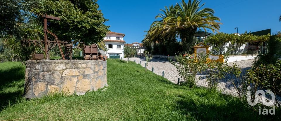 Quinta T8 em Torres Novas (São Pedro), Lapas e Ribeira Branca de 840 m²