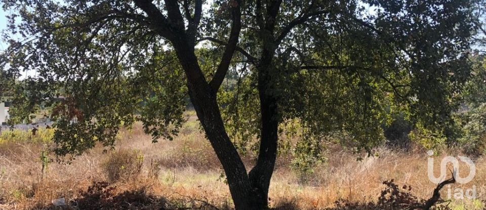 Terreno urbano em Regueira de Pontes de 600 m²