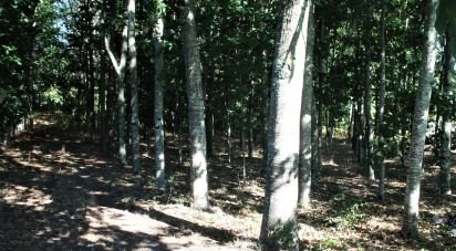 Terrain à Vila Boa de Quires e Maureles de 18 940 m²