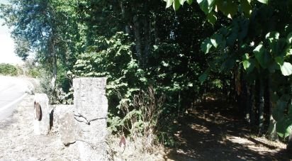 Terrain à Vila Boa de Quires e Maureles de 18 940 m²