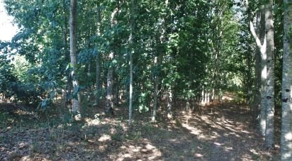 Terrain à Vila Boa de Quires e Maureles de 18 940 m²