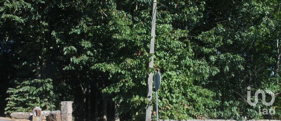 Land in Vila Boa de Quires e Maureles of 18,940 m²