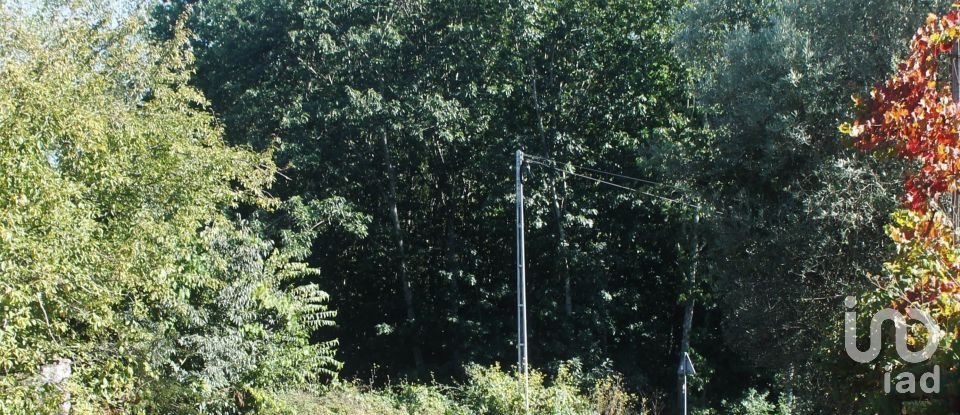 Land in Vila Boa de Quires e Maureles of 18,940 m²