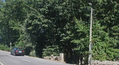 Terrain à Vila Boa de Quires e Maureles de 18 940 m²