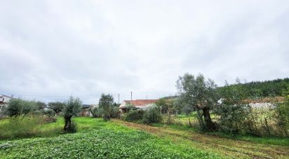 Land in Areias e Pias of 800 m²