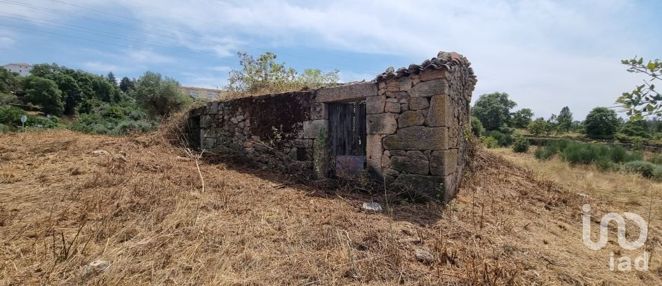 Farmhouse T0 in Celorico (São Pedro e Santa Maria) e Vila Boa do Mondego of 13,495 sq m