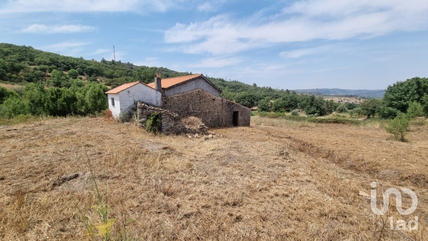 Farm T2 in Celorico (São Pedro e Santa Maria) e Vila Boa do Mondego of 14,910 m²