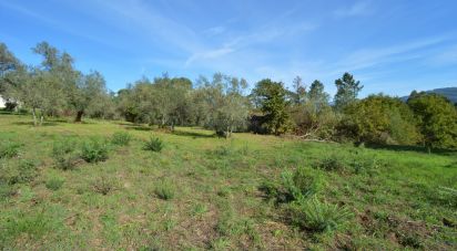 Moradia T0 em Miranda do Corvo de 102 m²