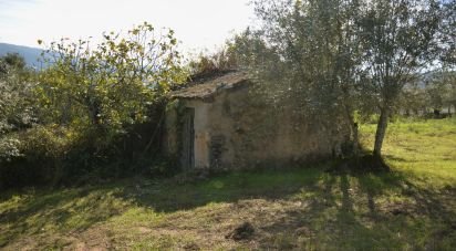 Maison T0 à Miranda do Corvo de 102 m²