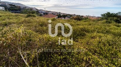 Terreno em Funchal (Santa Luzia) de 5 224 m²