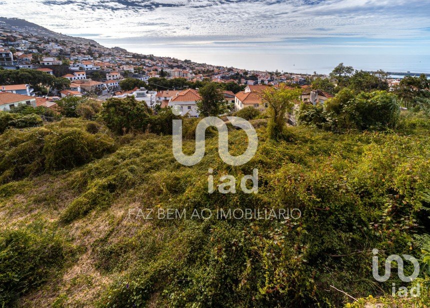 Land in Funchal (Santa Luzia) of 5,224 m²