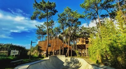 Camping à Atouguia da Baleia de 9 387 m²