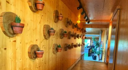 Camping à Atouguia da Baleia de 9 387 m²