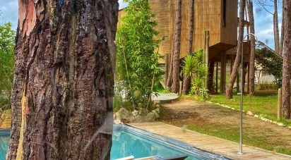 Camping à Atouguia da Baleia de 9 387 m²