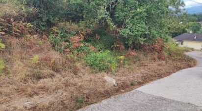 Terrain à Cerdal de 3 100 m²