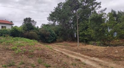 Terrain à Cerdal de 3 100 m²