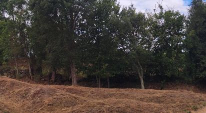 Terrain à Cerdal de 3 100 m²