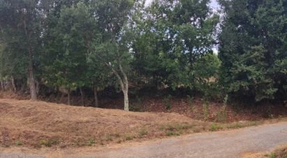 Land in Cerdal of 3,100 m²