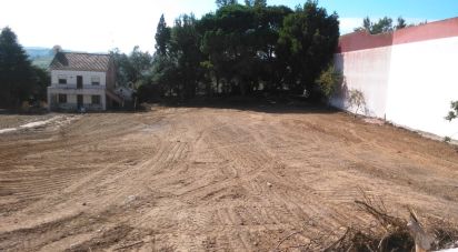 Terreno para construção em Turcifal de 3 703 m²