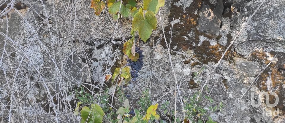 Maison T0 à Padornelo de 104 m²