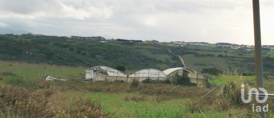 Land in São João das Lampas e Terrugem of 23,000 m²