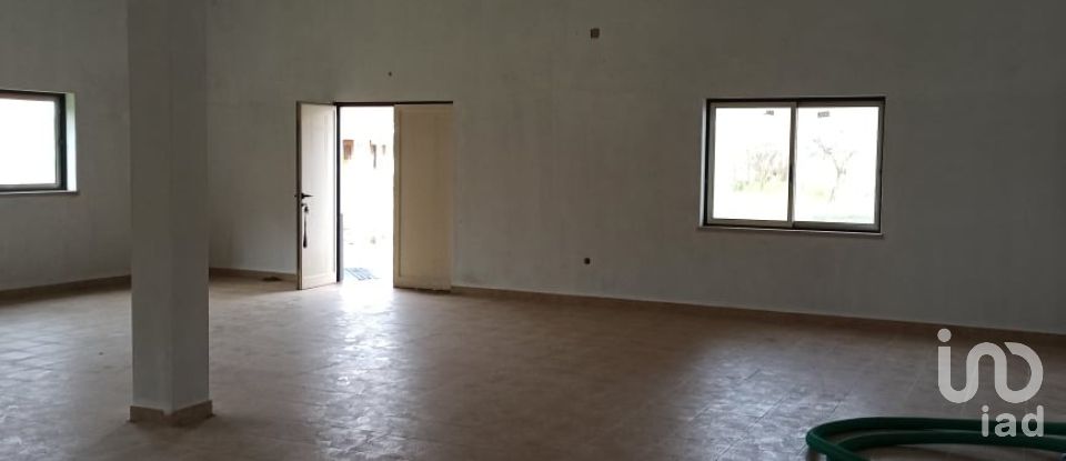Loja / Estabelecimento Comercial em Espite de 272 m²