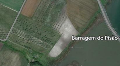Terrain agricole à Beringel de 42 229 m²