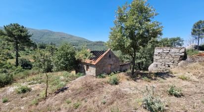 Ferme T0 à Linhares de 75 000 m²