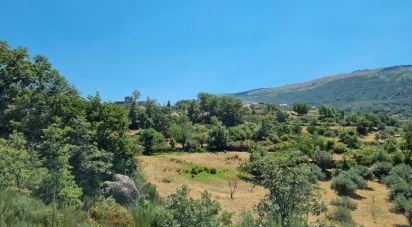 Ferme T0 à Linhares de 75 000 m²