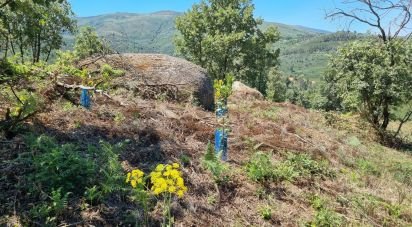 Ferme T0 à Linhares de 75 000 m²