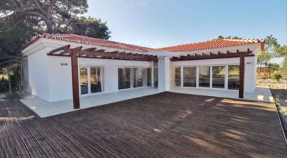 Farmhouse T2 in Melides of 16,250 sq m