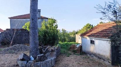 Farm T3 in Cornes of 226 m²