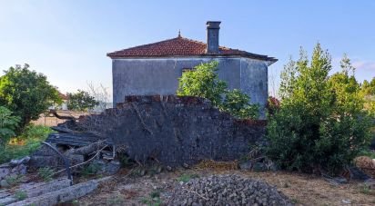 Farm T3 in Cornes of 226 m²