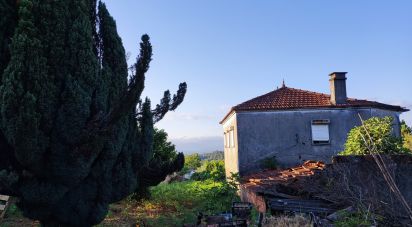 Farm T3 in Cornes of 226 m²