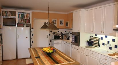 Ferme T6 à Sintra (Santa Maria e São Miguel, São Martinho e São Pedro de Penaferrim) de 7 165 m²