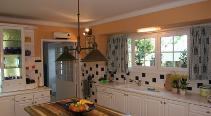 Ferme T6 à Sintra (Santa Maria e São Miguel, São Martinho e São Pedro de Penaferrim) de 7 165 m²