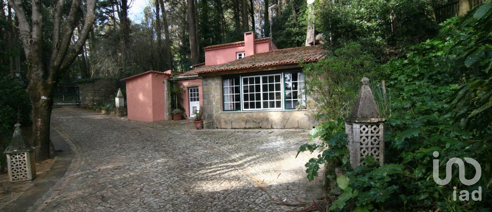 Farm T6 in Sintra (Santa Maria e São Miguel, São Martinho e São Pedro de Penaferrim) of 7,165 m²