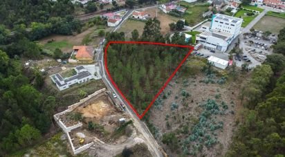 Terrain à bâtir à Marinha Grande de 4 547 m²