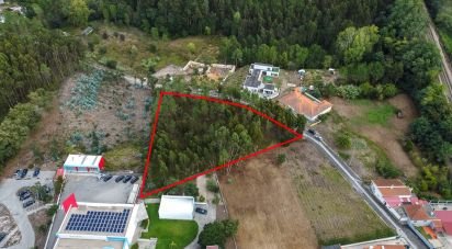 Terrain à bâtir à Marinha Grande de 4 547 m²