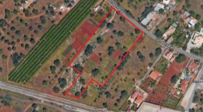 Terreno em Loulé (São Sebastião) de 9 900 m²