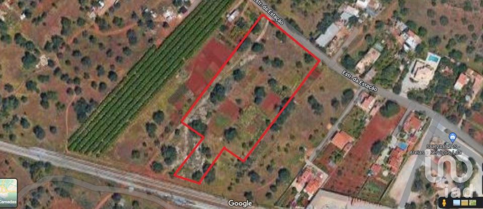 Terreno em Loulé (São Sebastião) de 9 900 m²