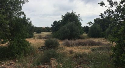 Land in Loulé (São Sebastião) of 9,900 m²