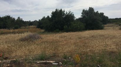 Land in Loulé (São Sebastião) of 9,900 m²