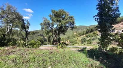 Ferme T2 à Monchique de 206 m²