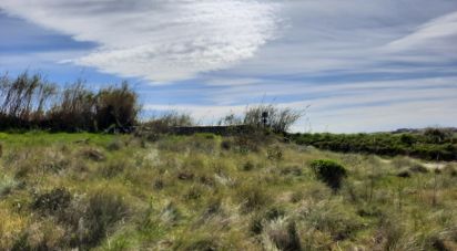 Terrain à Encarnação de 3 187 m²