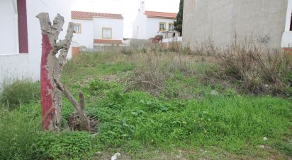 Terrain à bâtir à Nossa Senhora da Conceição e São Bartolomeu de 211 m²