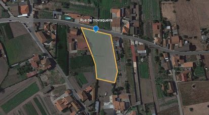 Building land in Monte Real e Carvide of 3,280 m²