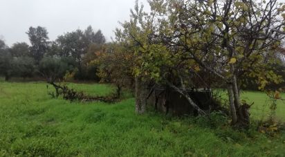 Terrain à Póvoa de Rio de Moinhos e Cafede de 1 825 m²